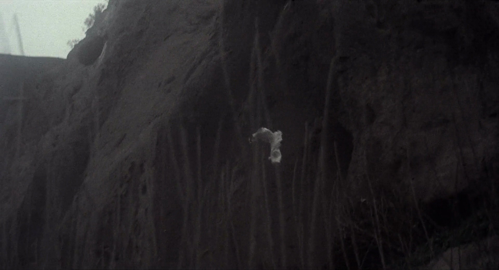 Shot 734