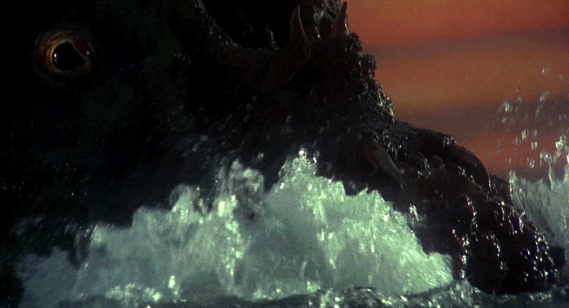 Shot 1637