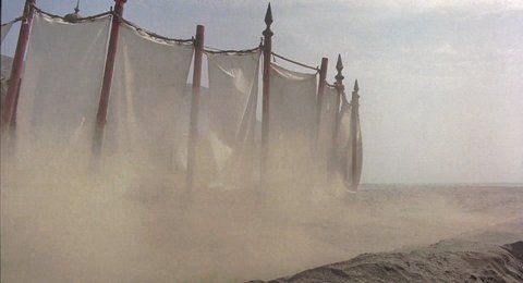 Shot 2016
