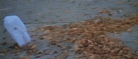 Shot 1084