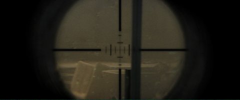 Shot 1307