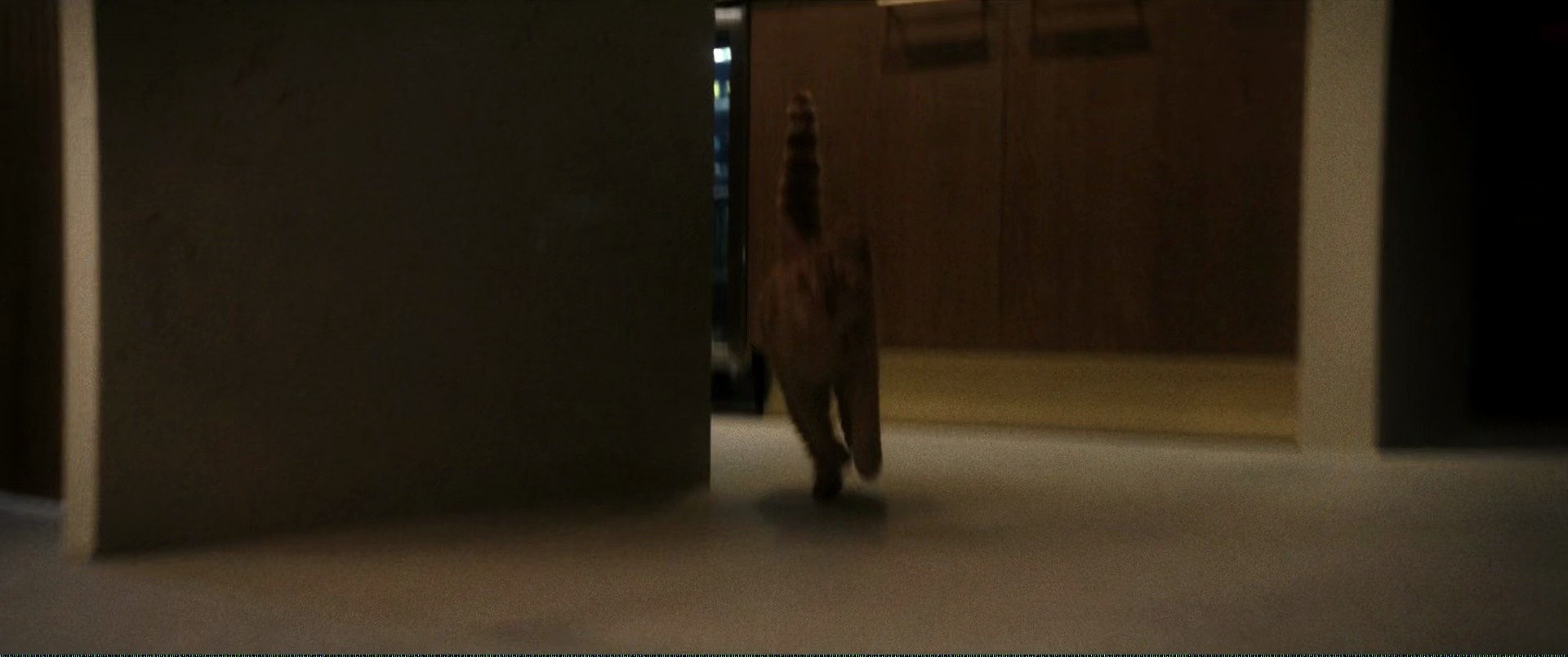 Shot 837