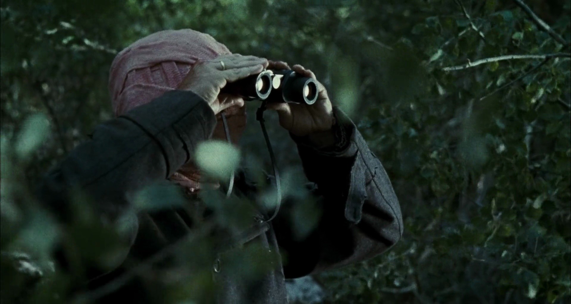 Shot 433