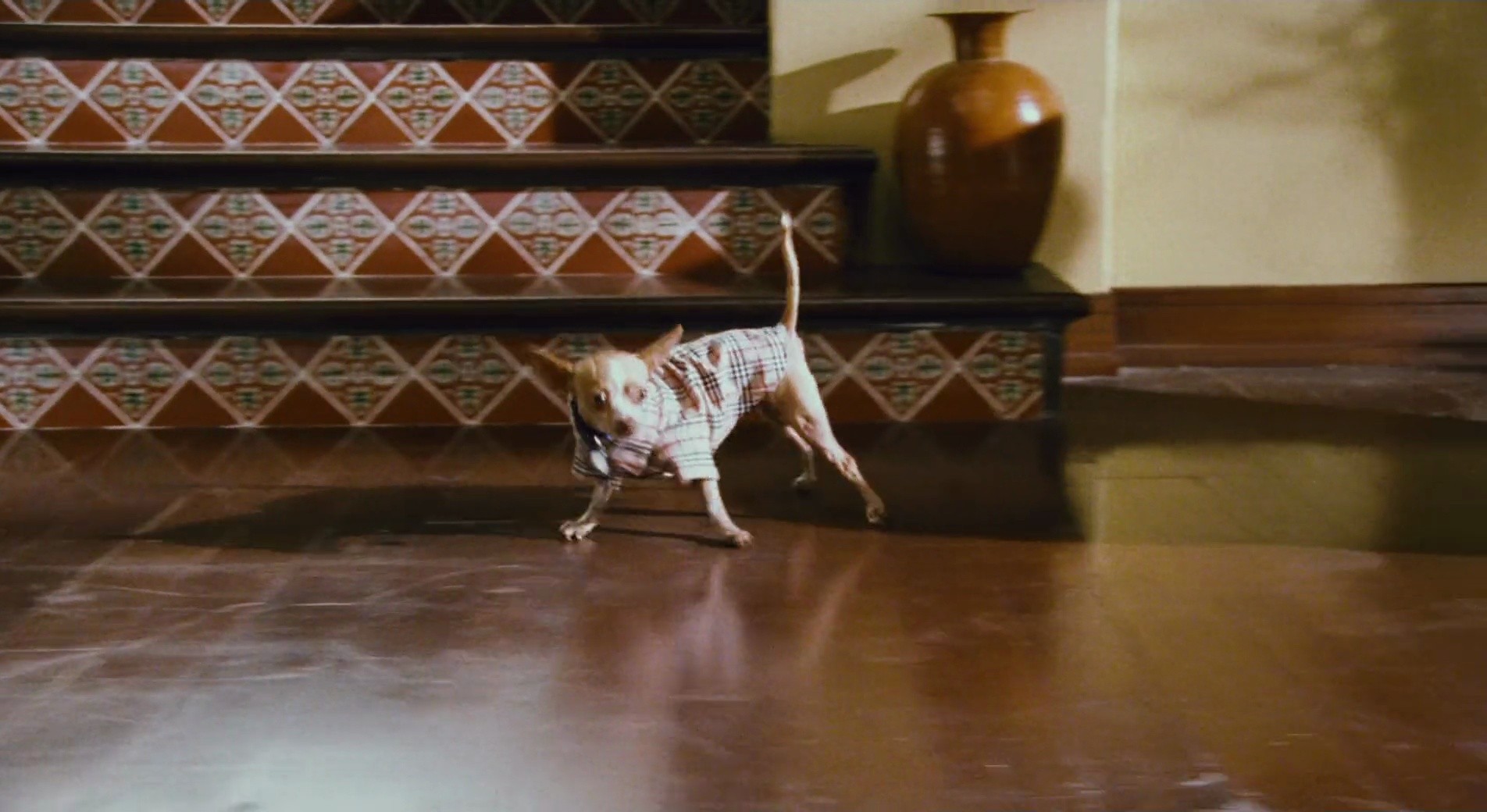 Shot 532