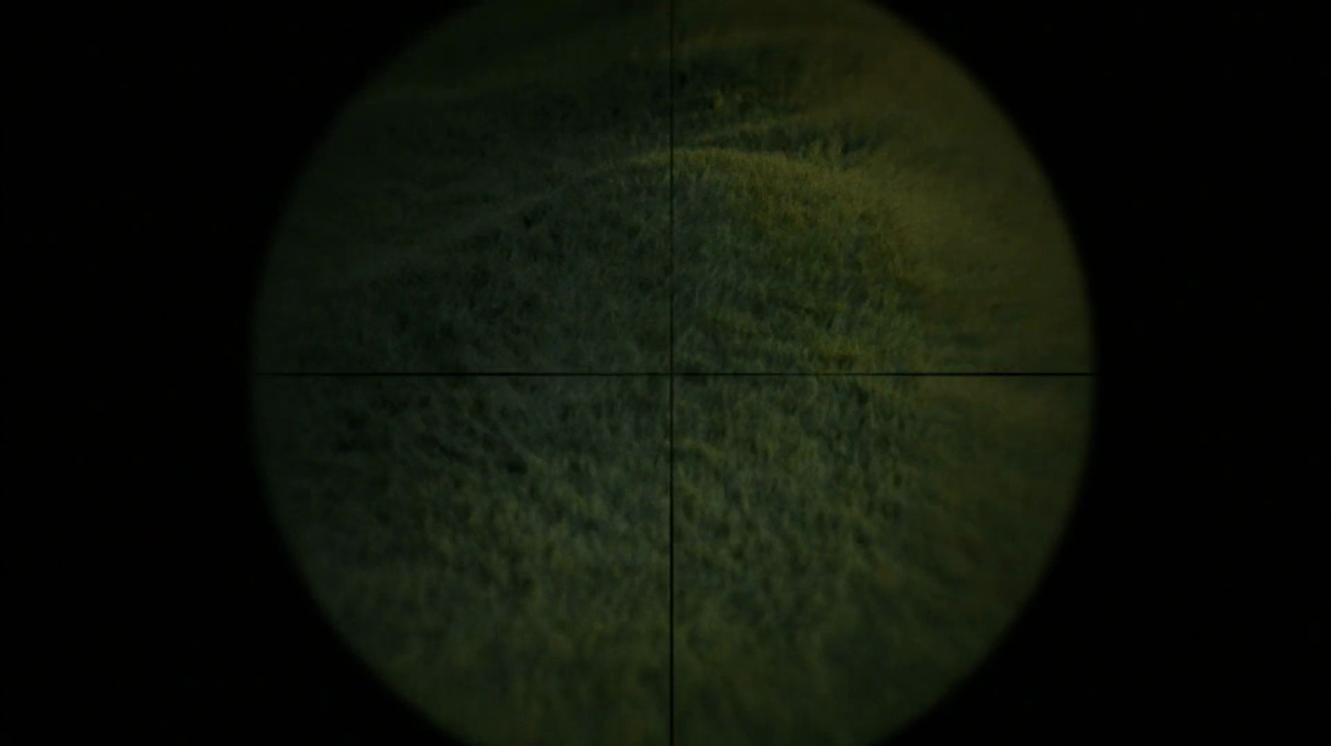 Shot 1314