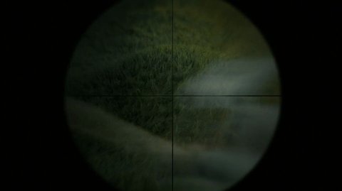 Shot 1315