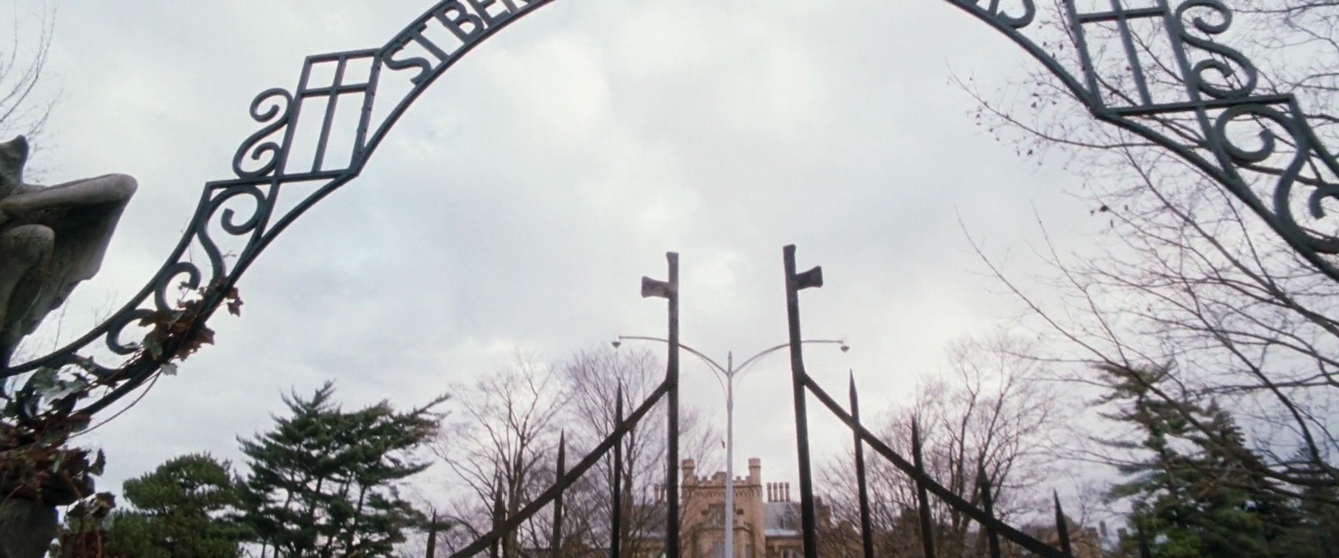 Shot 529