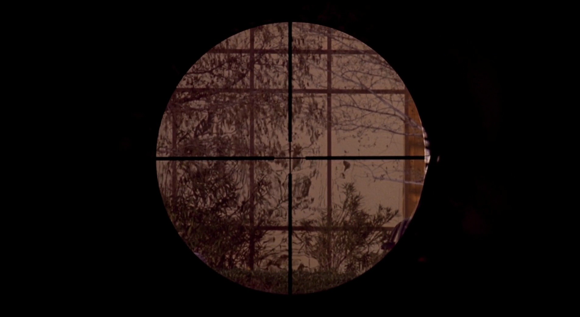 Shot 942