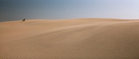 Shot 362