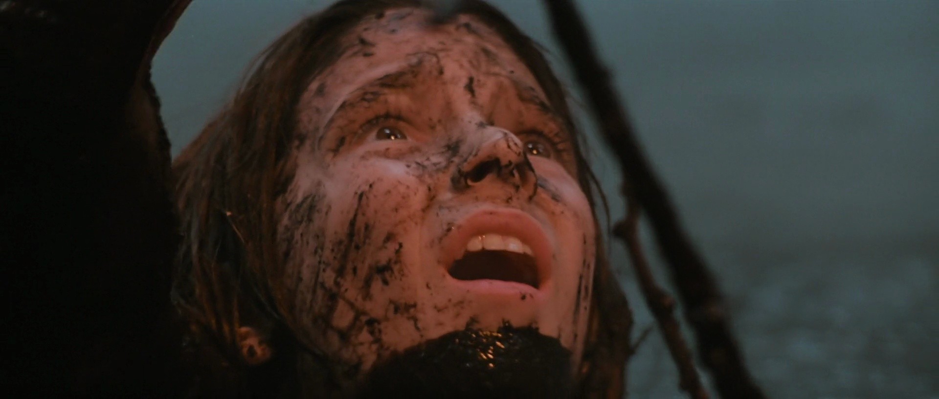 Shot 529