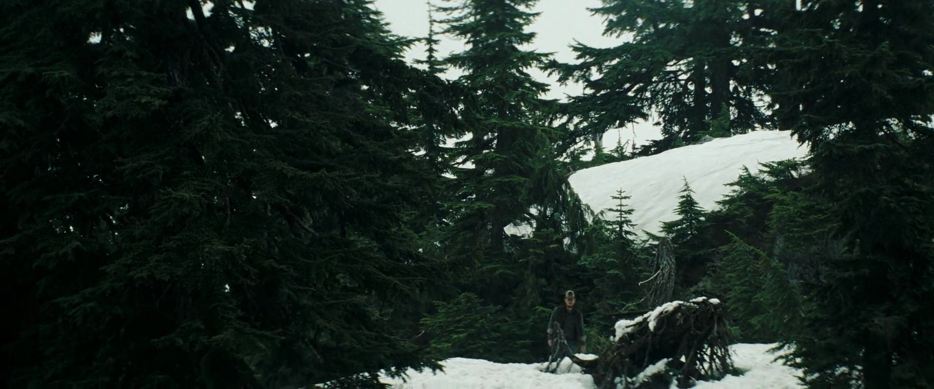 Shot 198