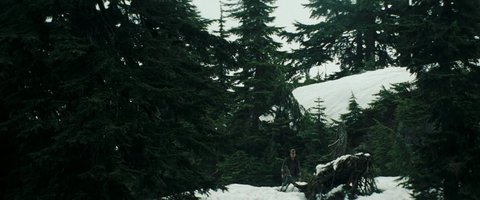 Shot 198