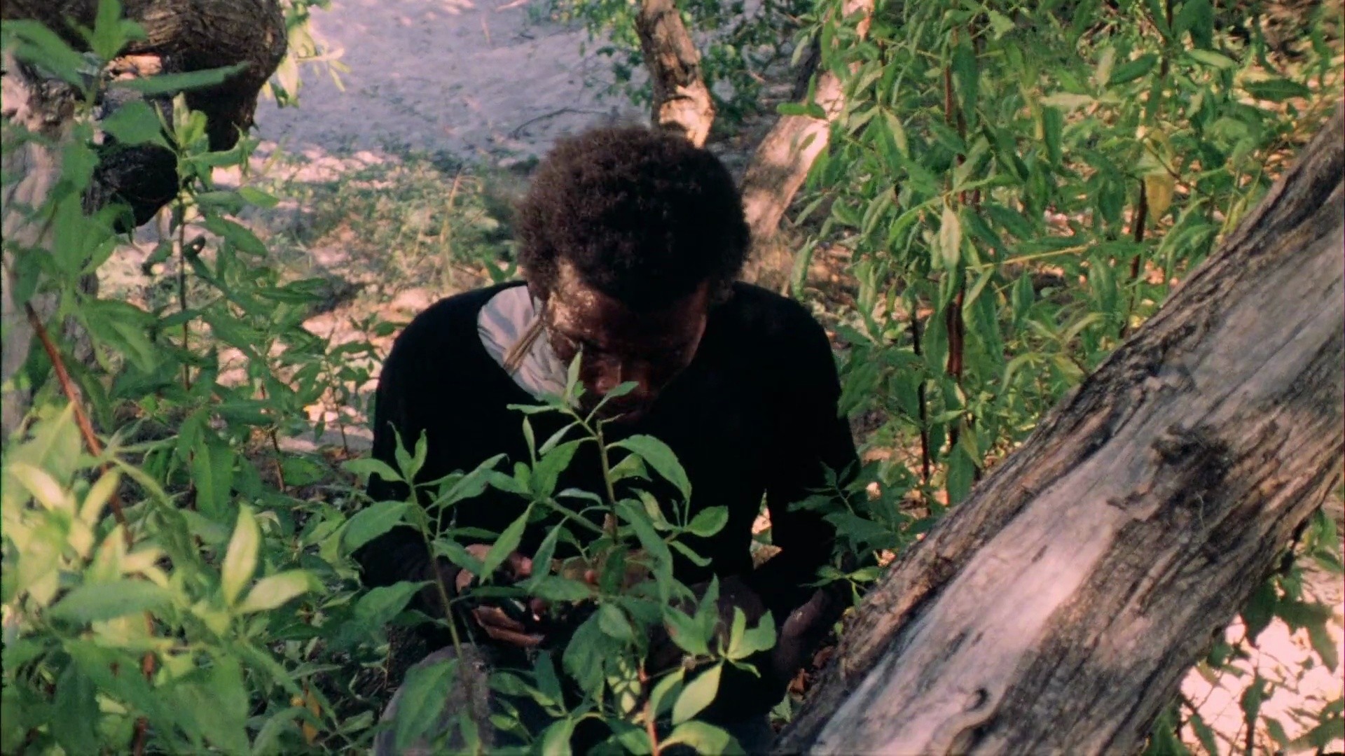 Shot 1359