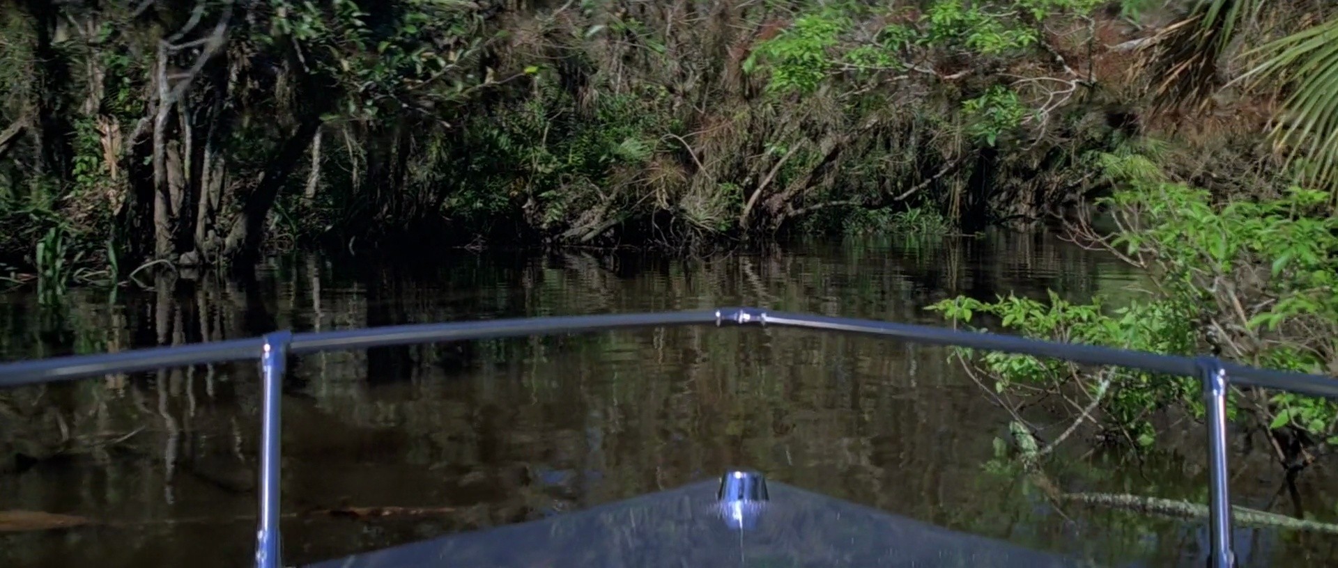 Shot 1302