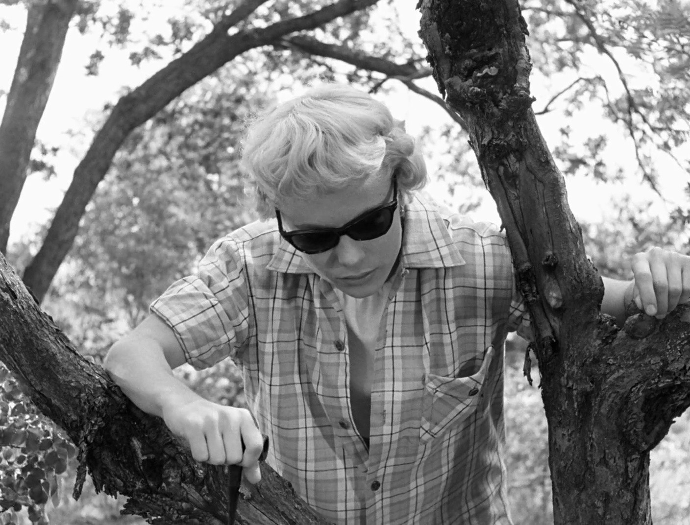 Shot 392