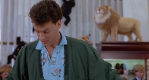 Shot 591