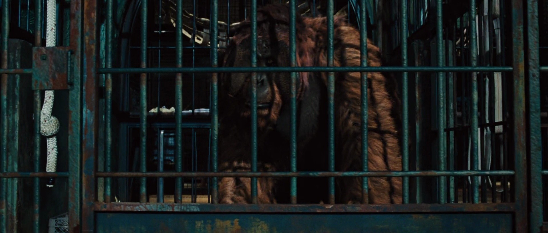 Shot 1308