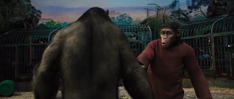 Shot 840