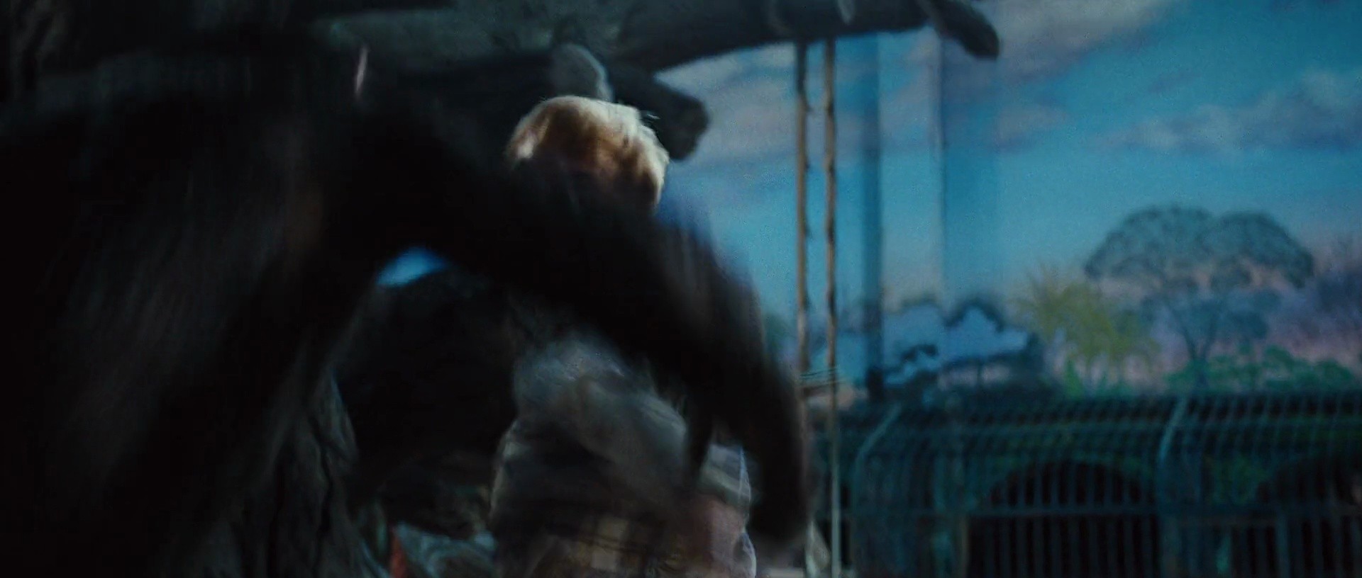 Shot 1320