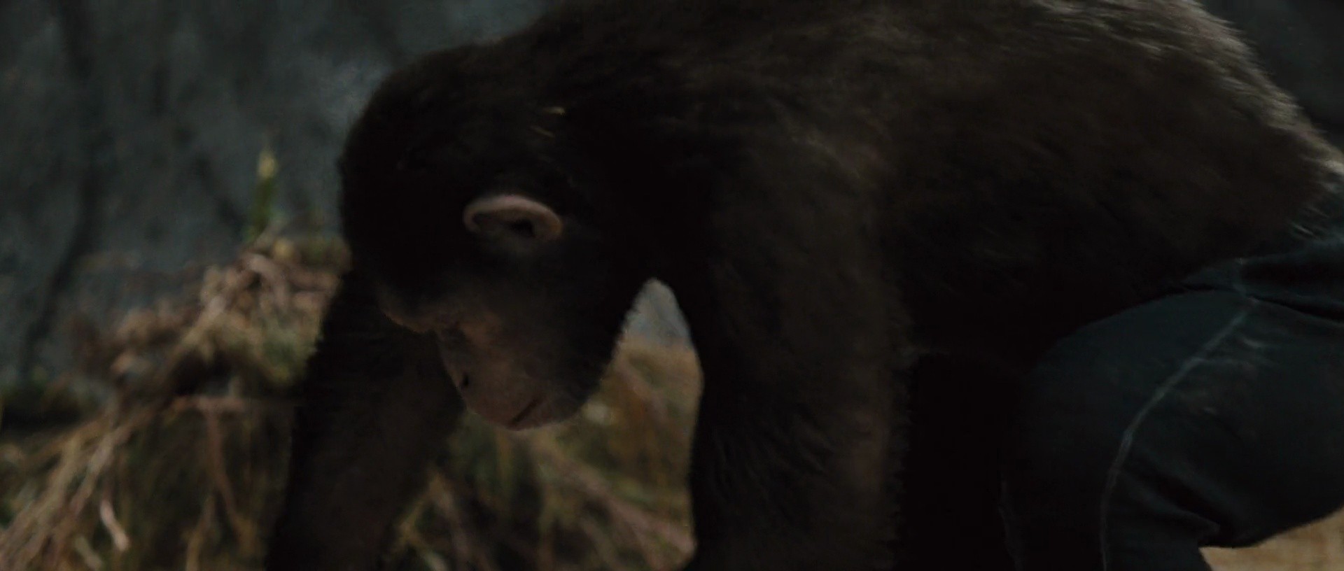 Shot 873