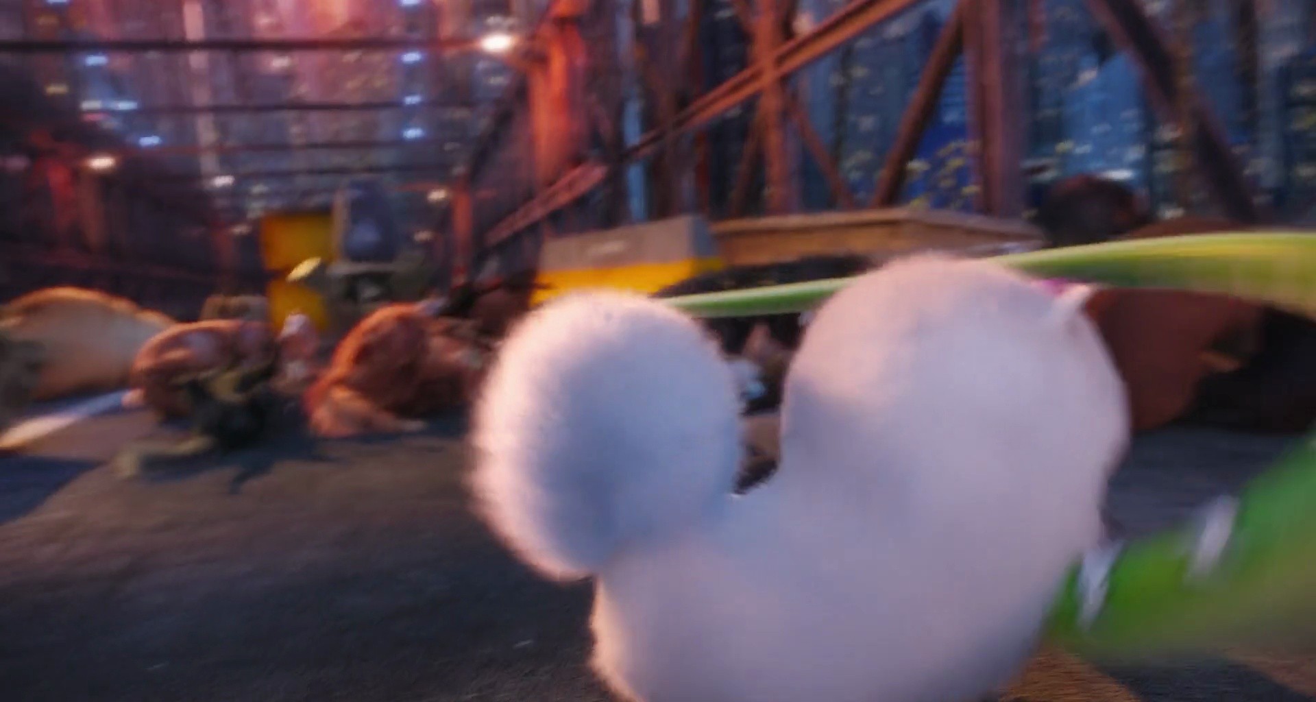 Shot 1141