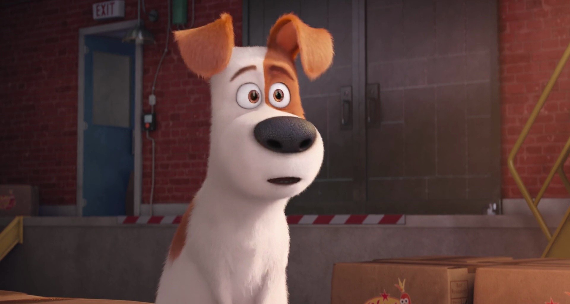 Shot 953