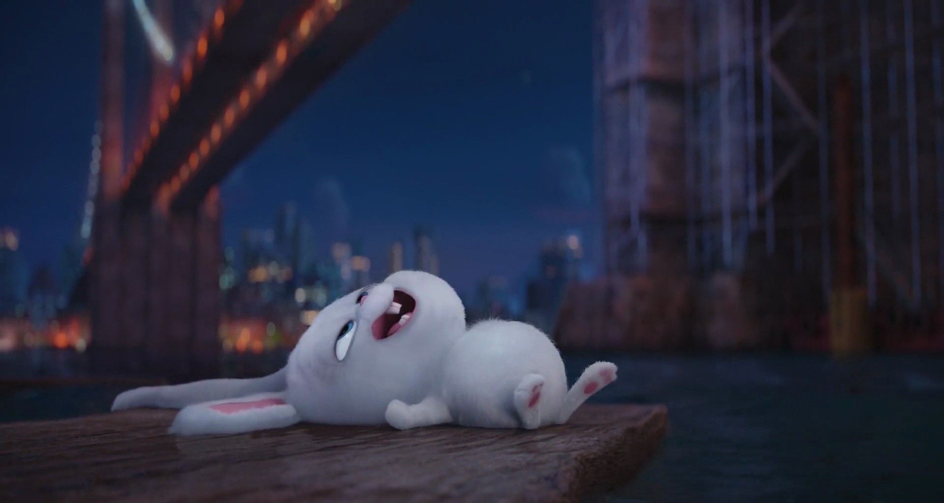 Shot 1211