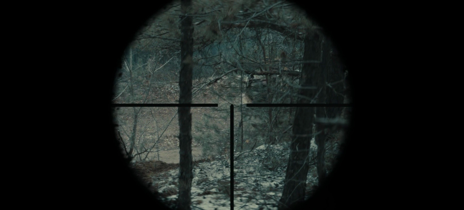 Shot 290