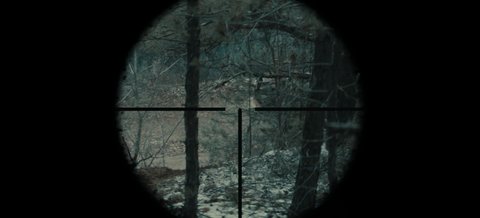 Shot 290