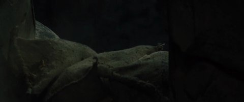 Shot 69