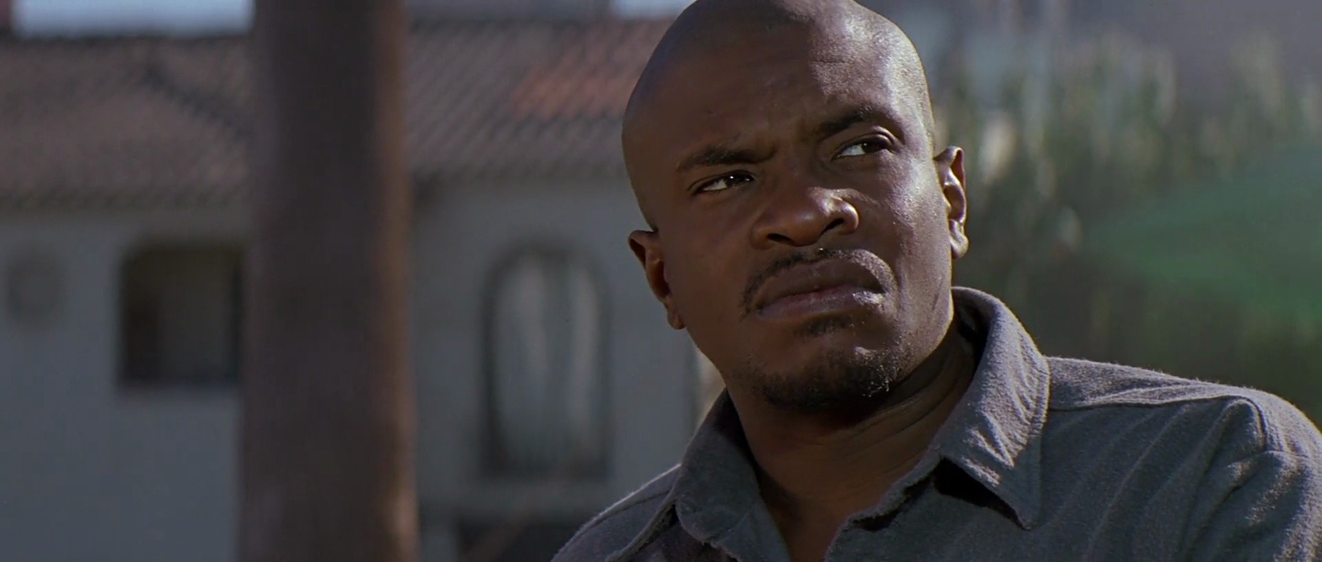 Shot 219