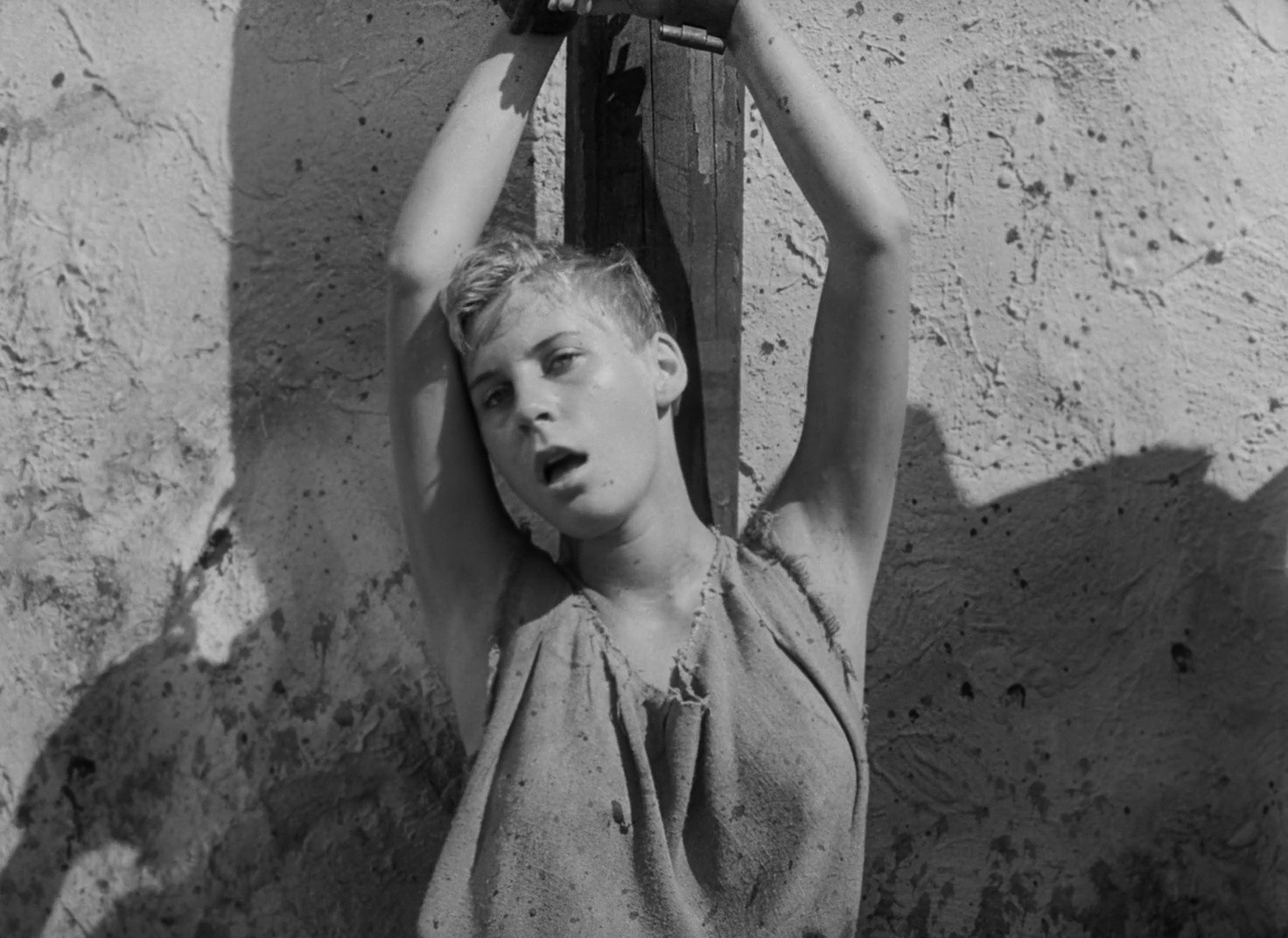 Shot 198