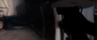 Shot 10
