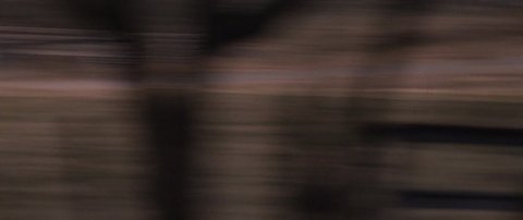 Shot 333