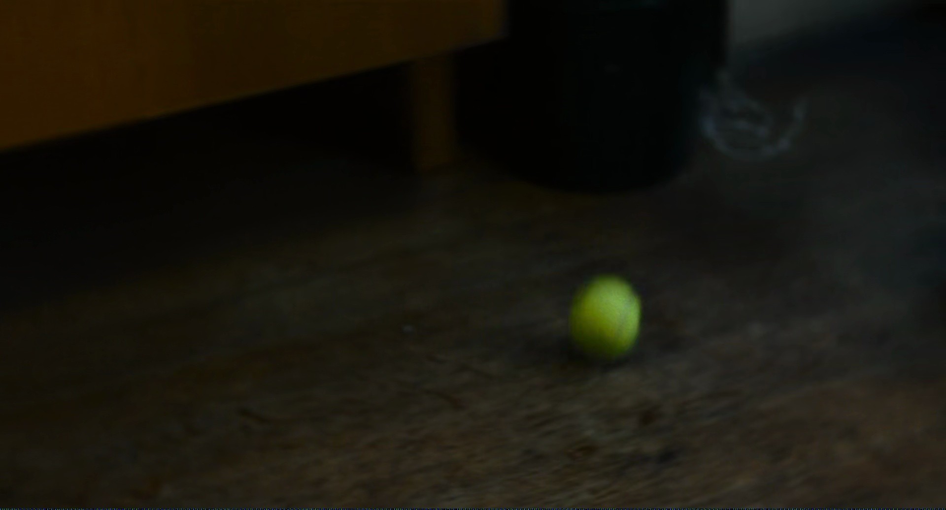 Shot 391
