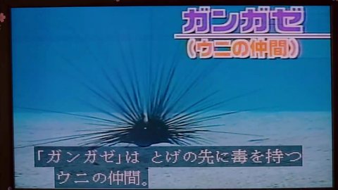 Shot 1025