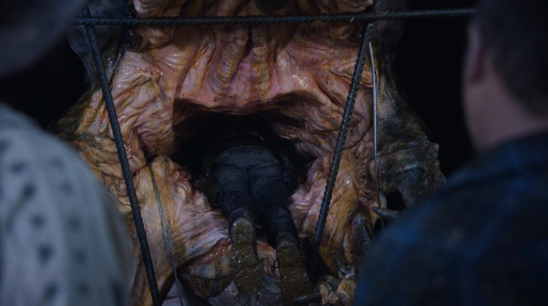 Shot 2525