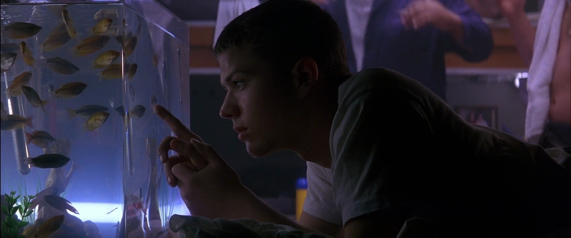 Shot 404