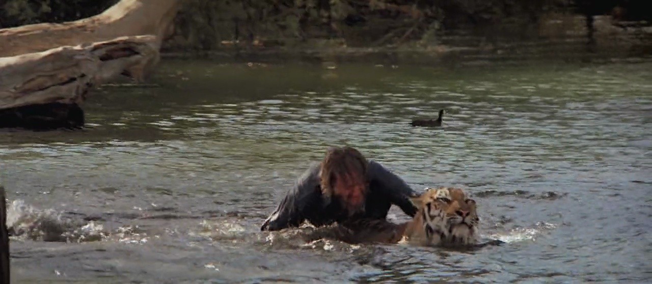Shot 239