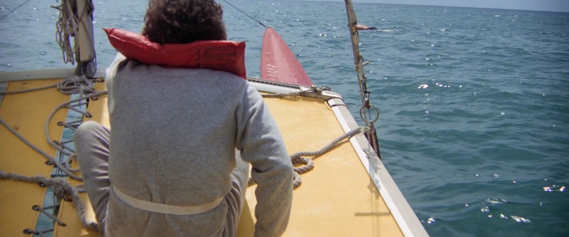 Shot 475
