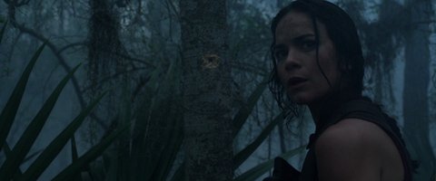 Shot 880