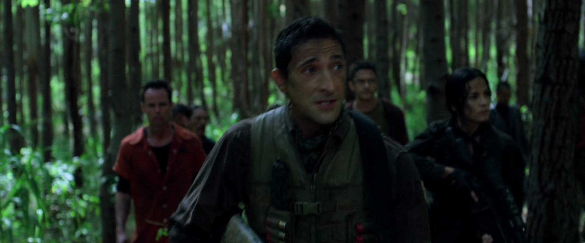 Shot 429