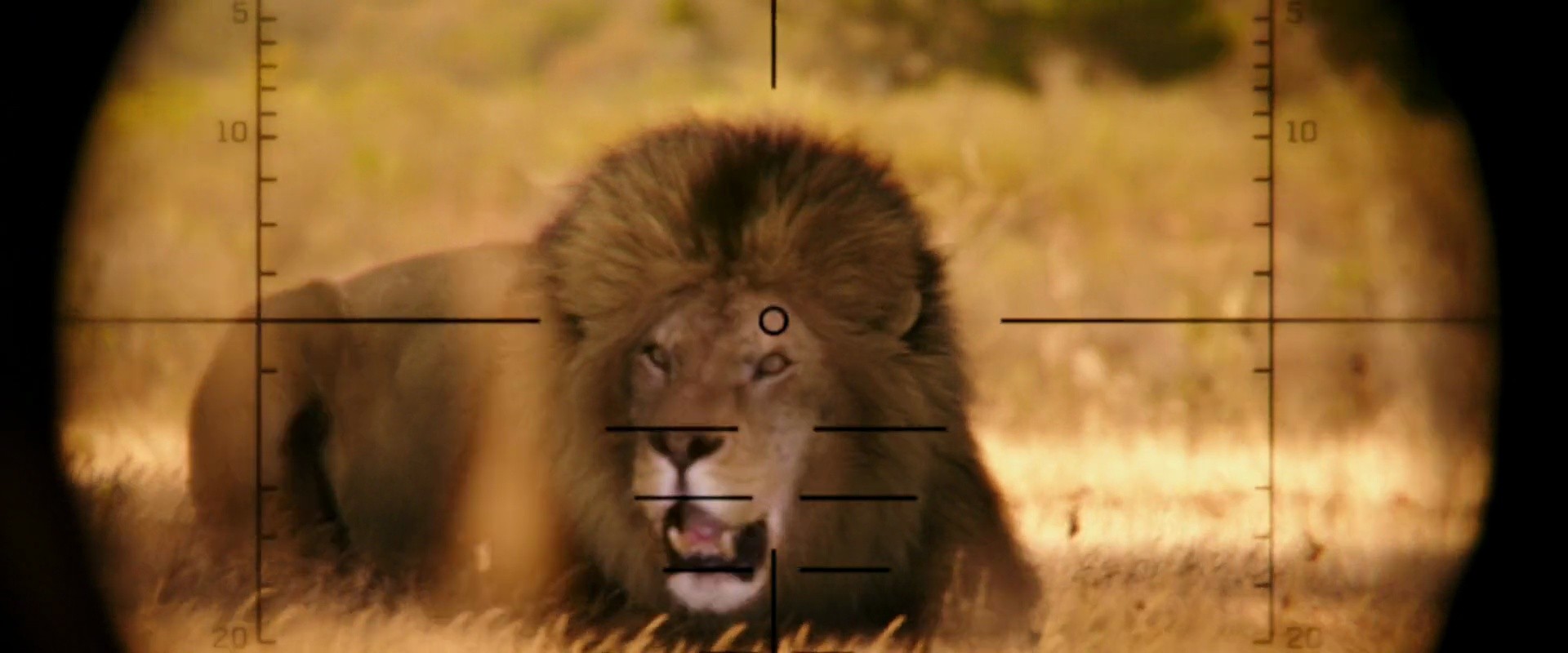 Shot 693