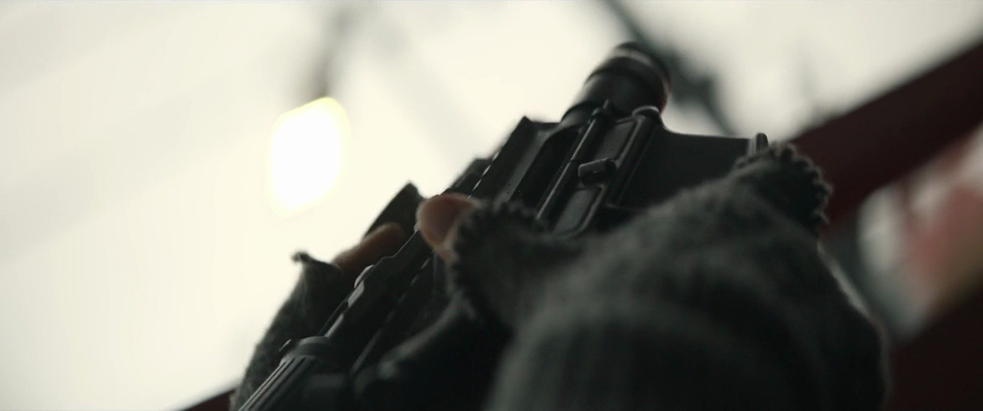 Shot 334