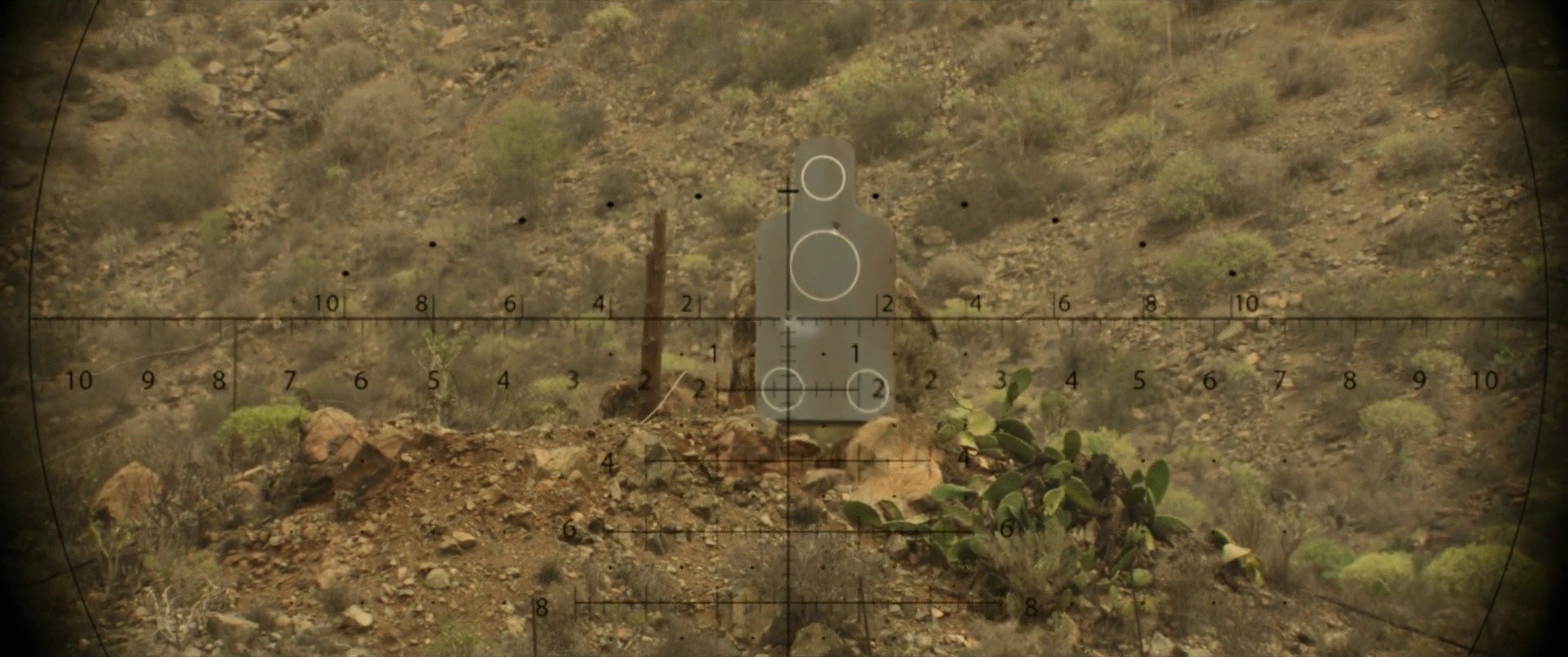 Shot 832