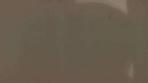 Shot 1338