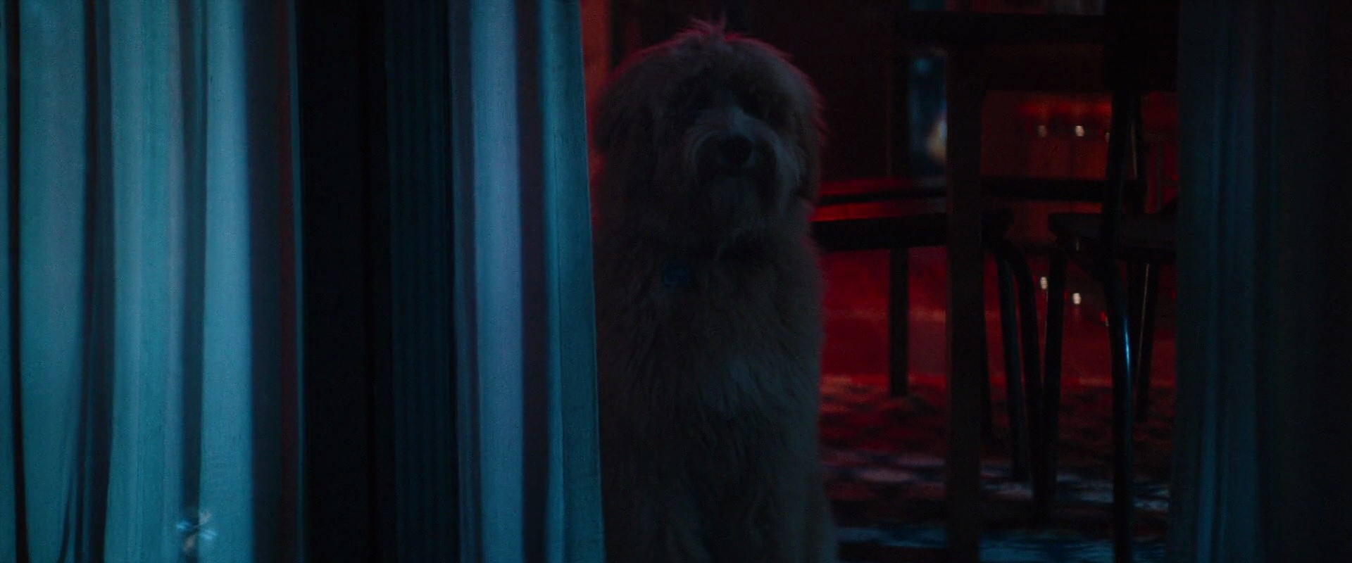 Shot 1278