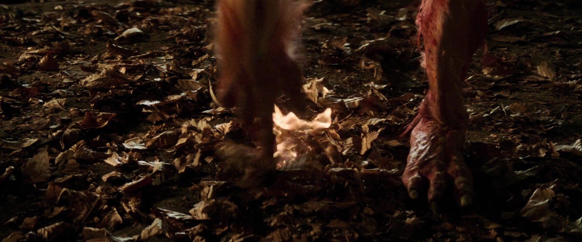 Shot 718