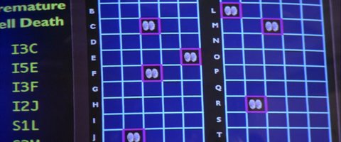 Shot 256