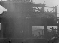 Shot 20